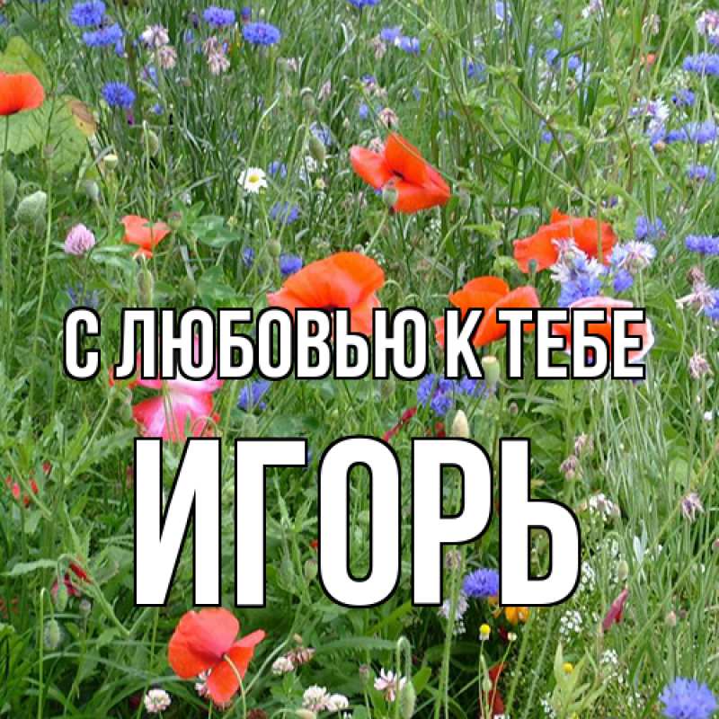 Картинка С любовью к тебе, Игорь