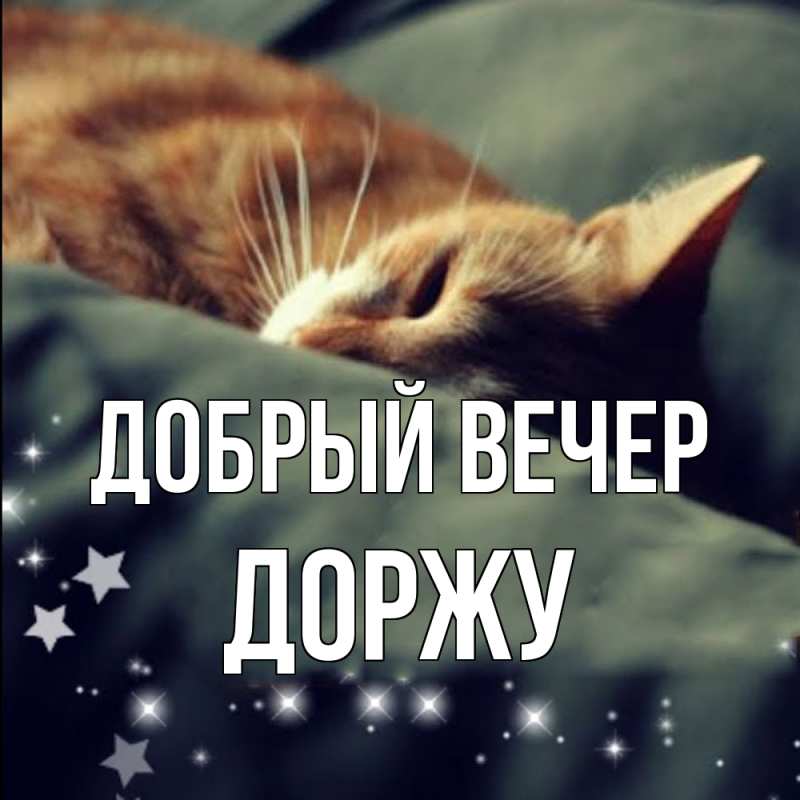 Картинка Добрый вечер, Доржу