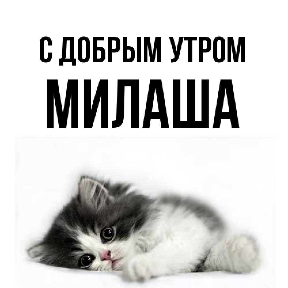 Открытка  с именем. Милаша, С добрым утром  