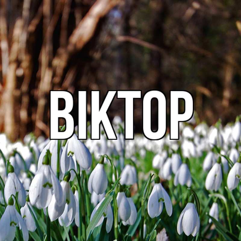 Картинка  с именем , Віктор