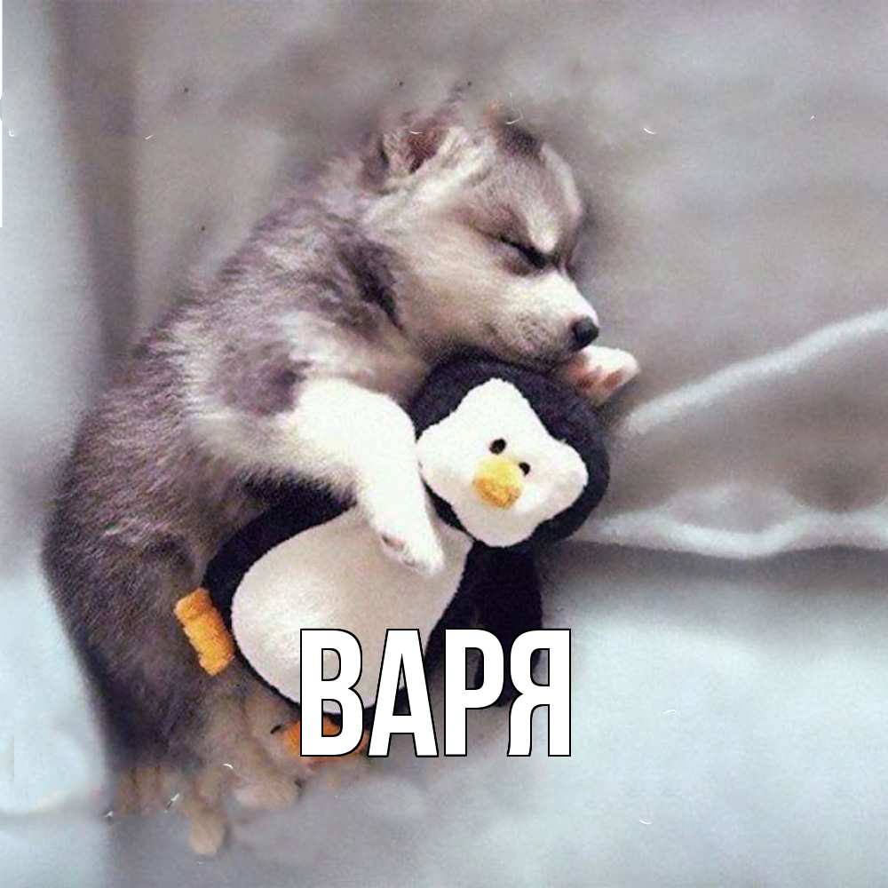 Открытка  с именем. варя, Главная  