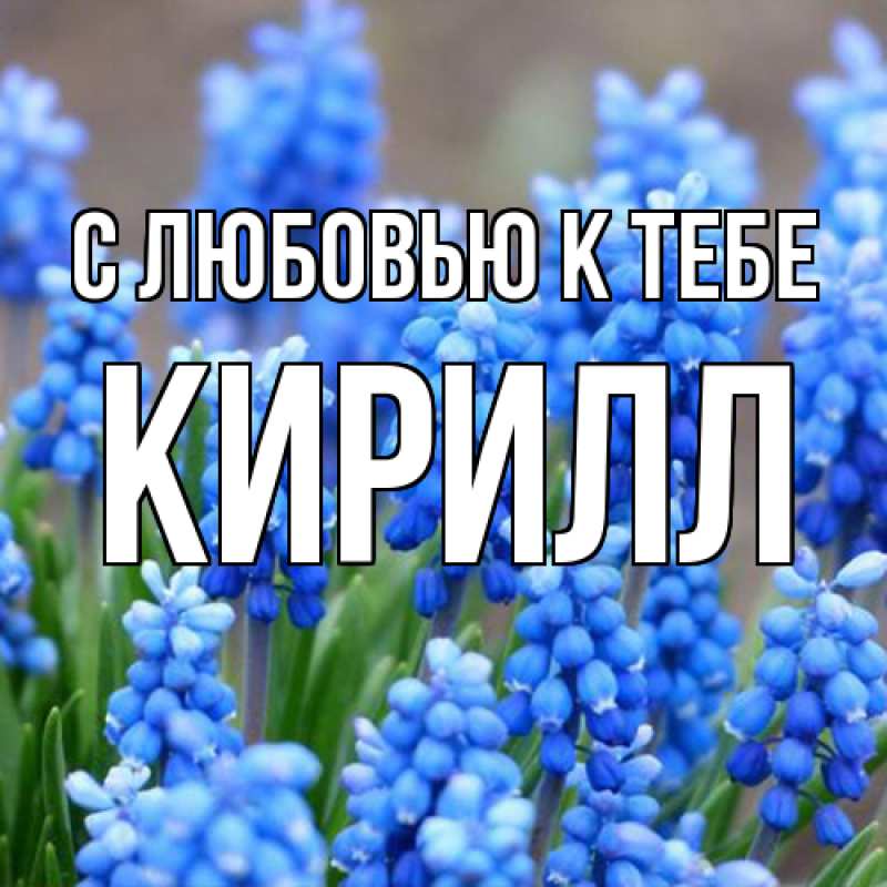 Картинка С любовью к тебе, Кирилл