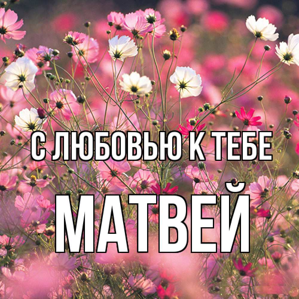 Открытка  с именем. Матвей, С любовью к тебе  