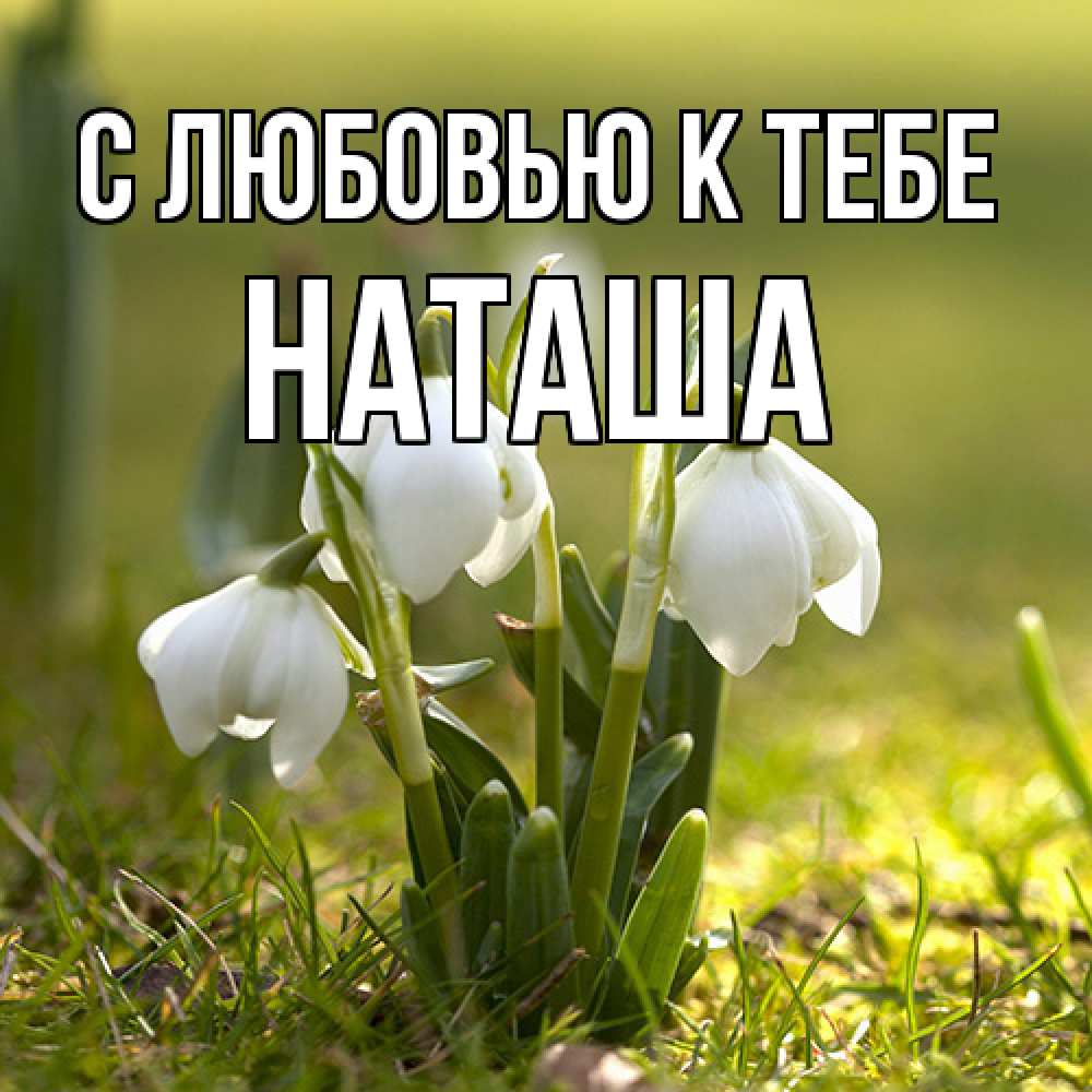 Открытка  с именем. Наташа, С любовью к тебе  