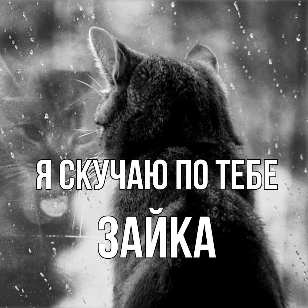 Открытка  с именем. Зайка, Я скучаю по тебе  