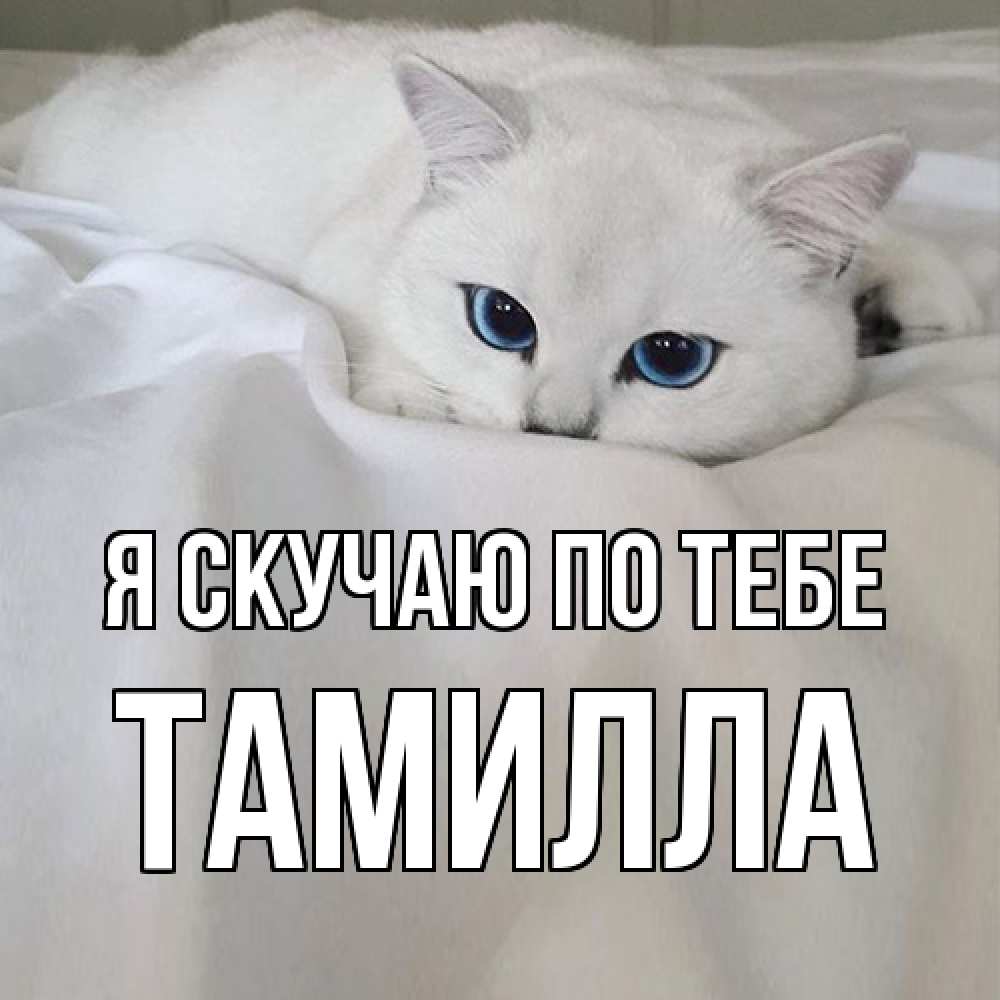 Открытка  с именем. Тамилла, Я скучаю по тебе  