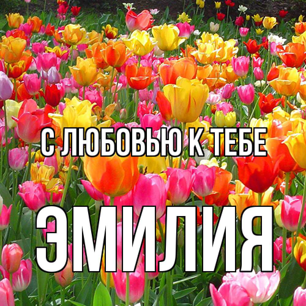 Открытка  с именем. Эмилия, С любовью к тебе  