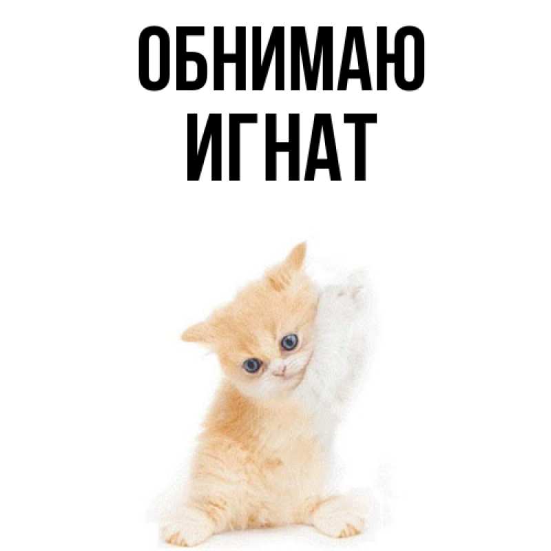 Картинка Обнимаю, Игнат