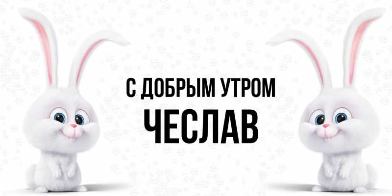 Картинка С добрым утром, Чеслав
