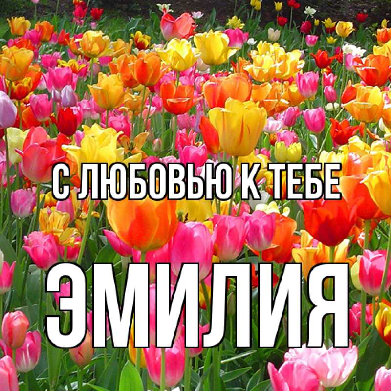 Картинка С любовью к тебе, Эмилия