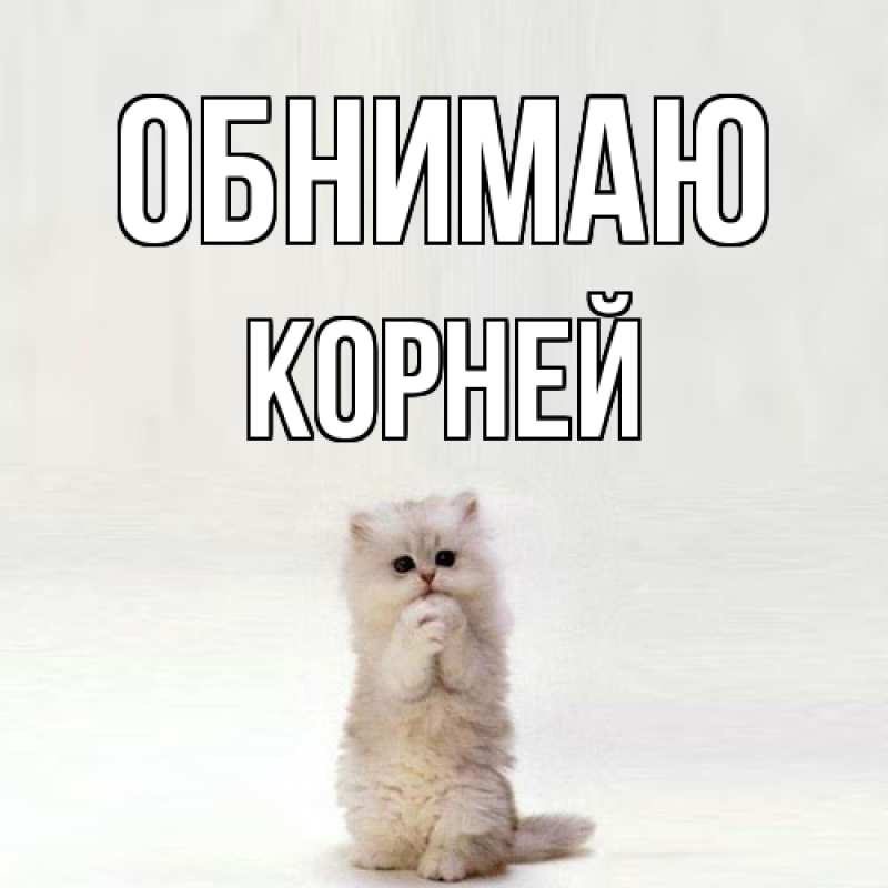 Картинка Обнимаю, Корней