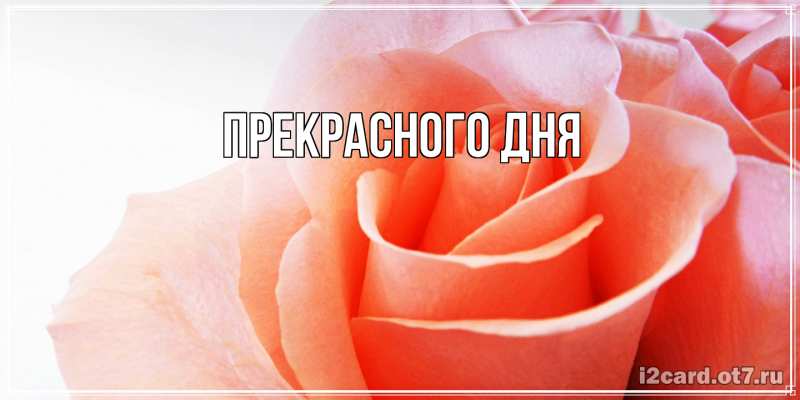 Картинка Прекрасного дня, 
