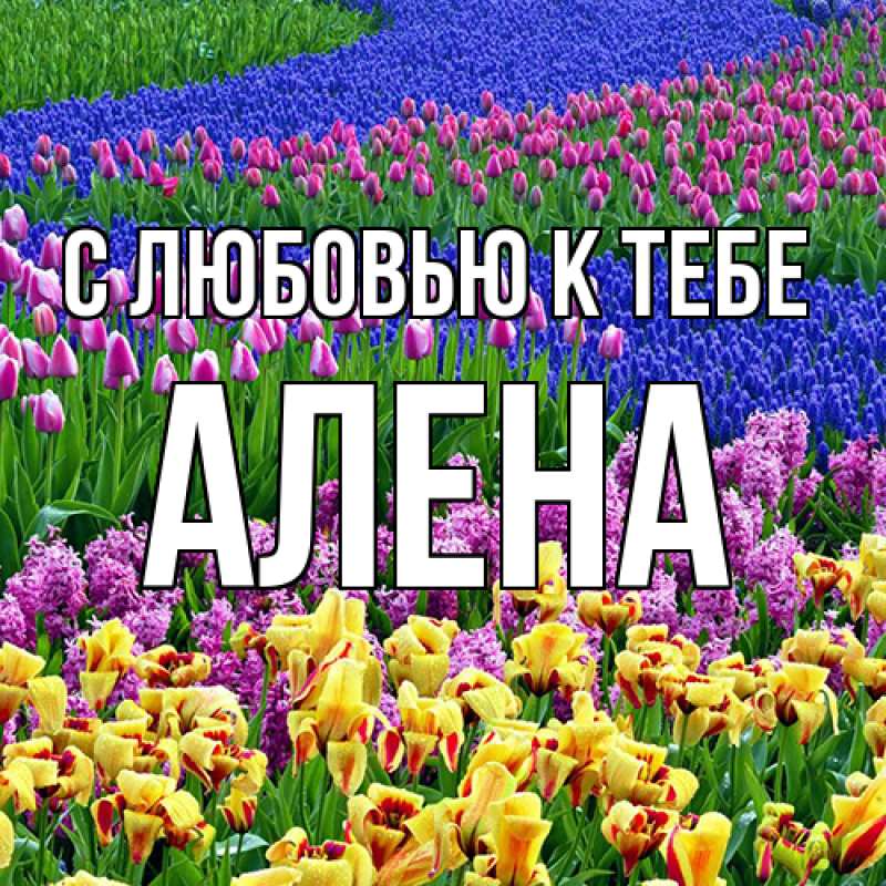 Картинка С любовью к тебе, Алена
