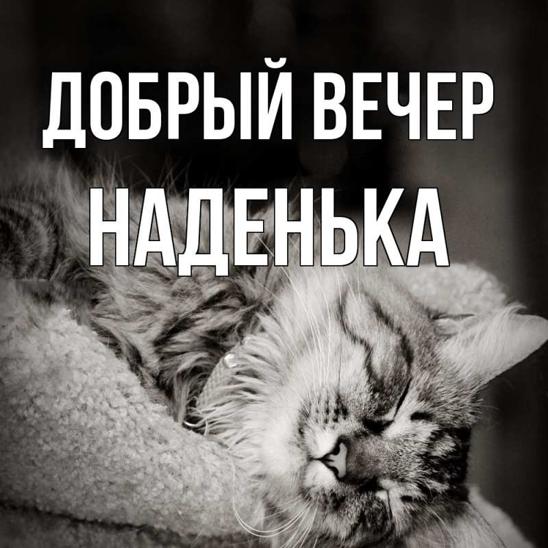 Картинка Добрый вечер, Наденька
