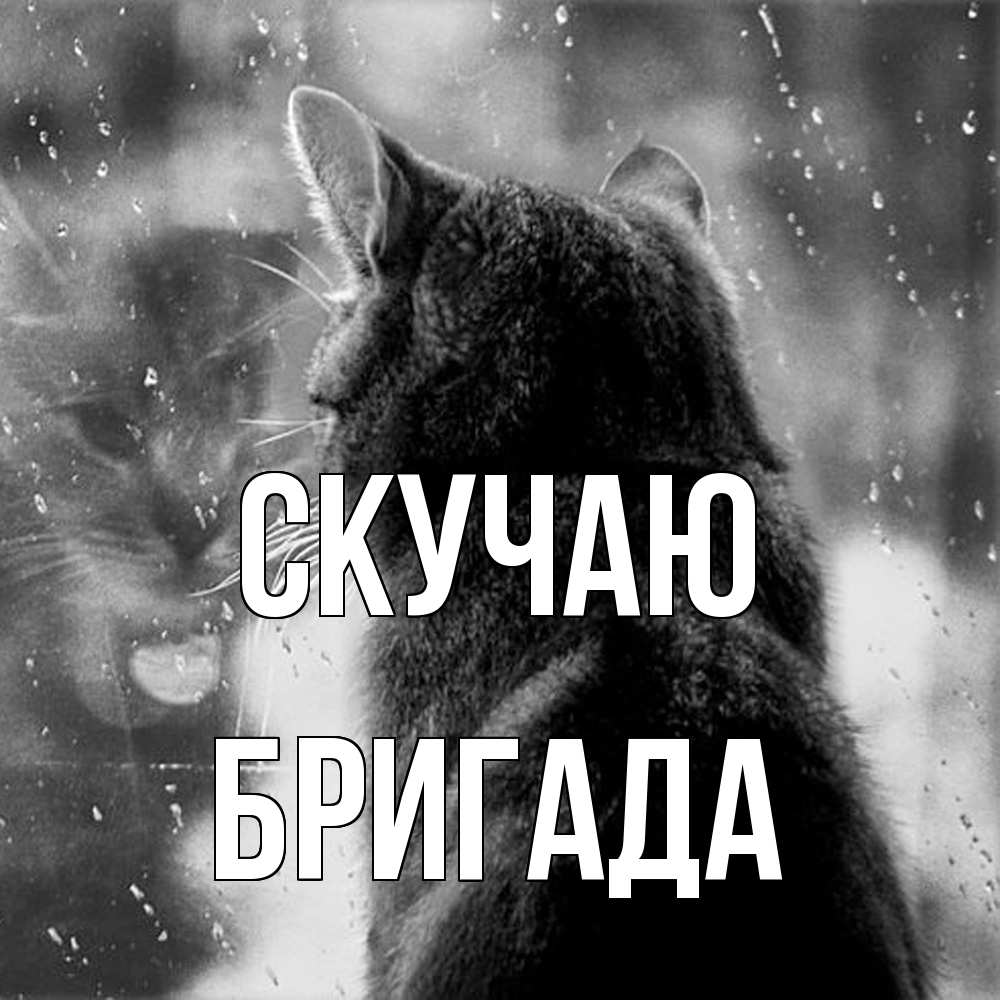 Открытка  с именем. Бригада, Скучаю  