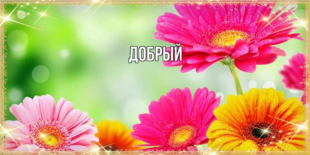 Открытка  с именем. Добрый, Главная  