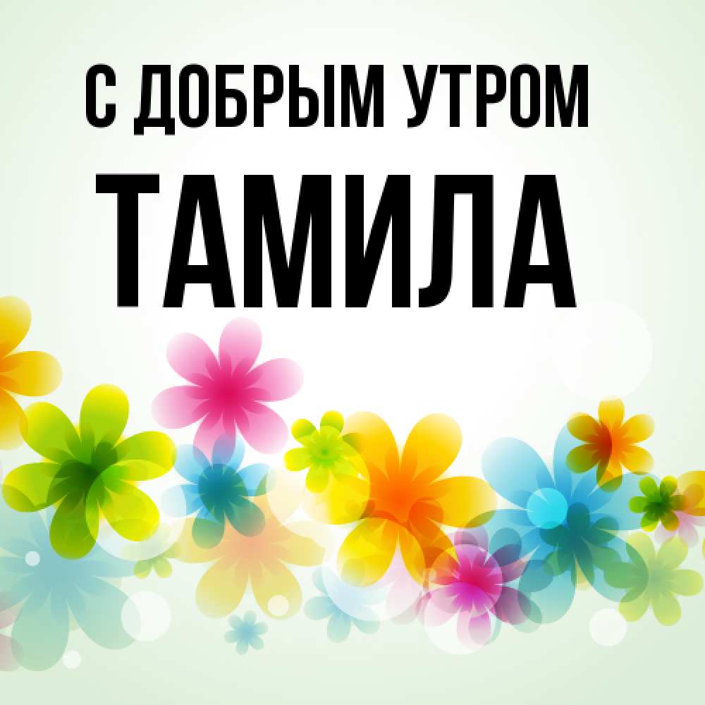 Открытка  с именем. Тамила, С добрым утром  