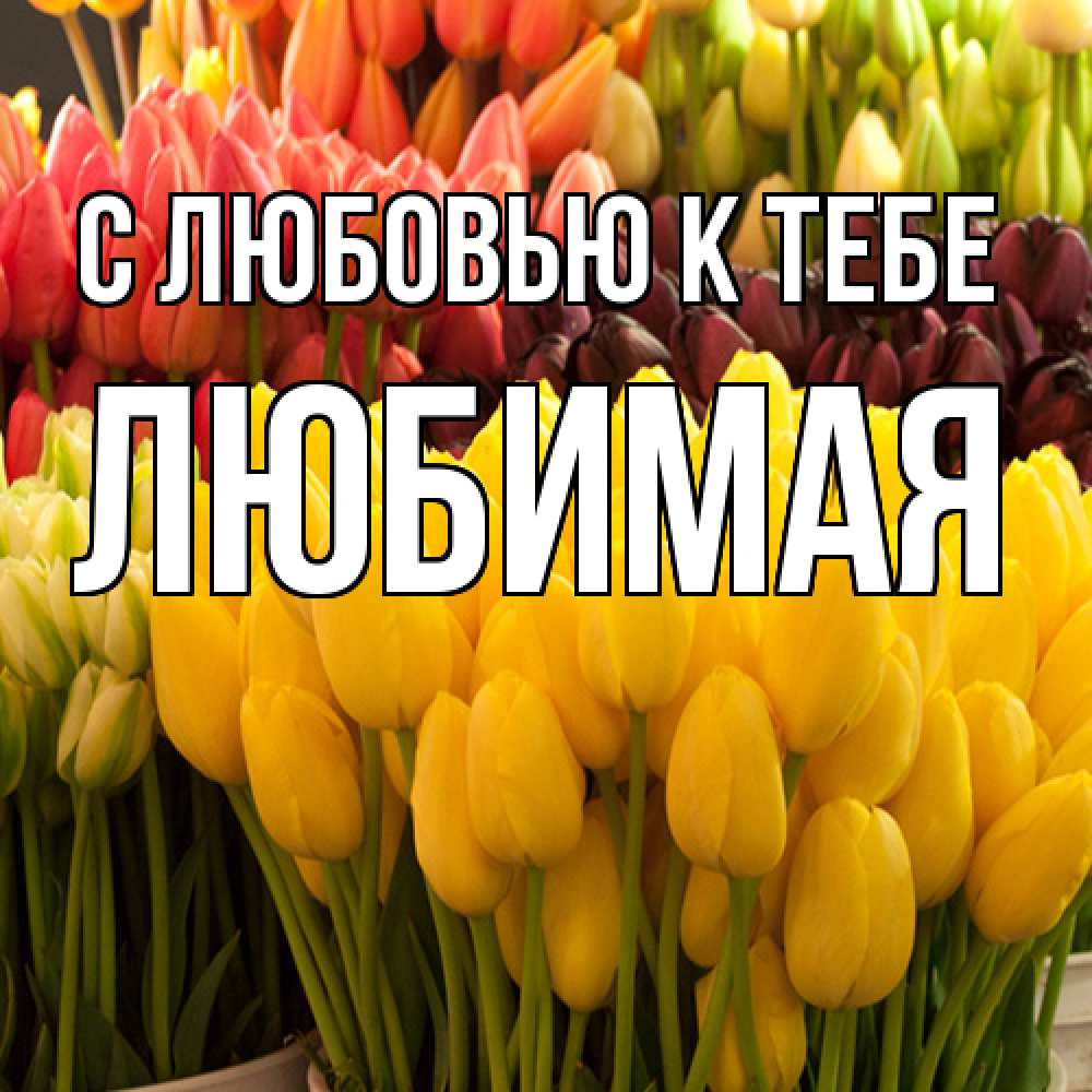 Открытка  с именем. Любимая, С любовью к тебе  