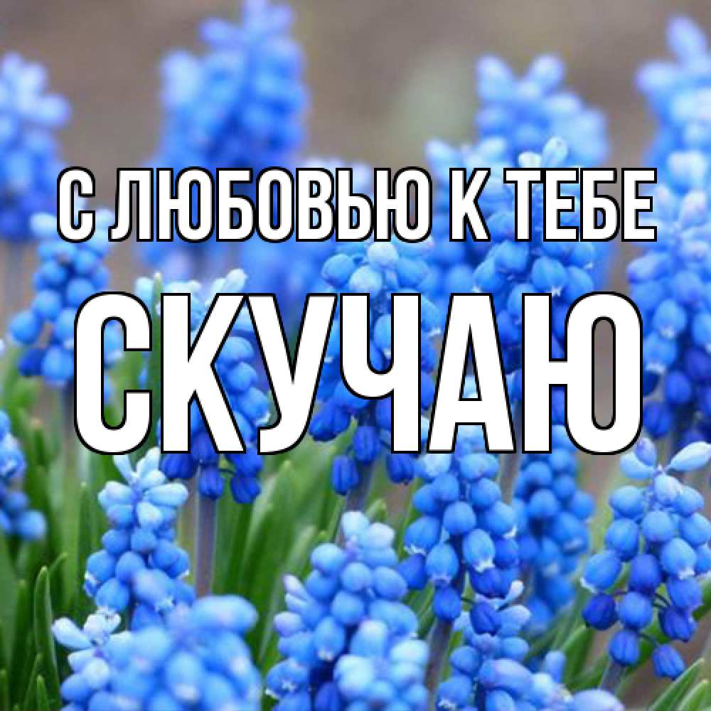 Открытка  с именем. Скучаю, С любовью к тебе  