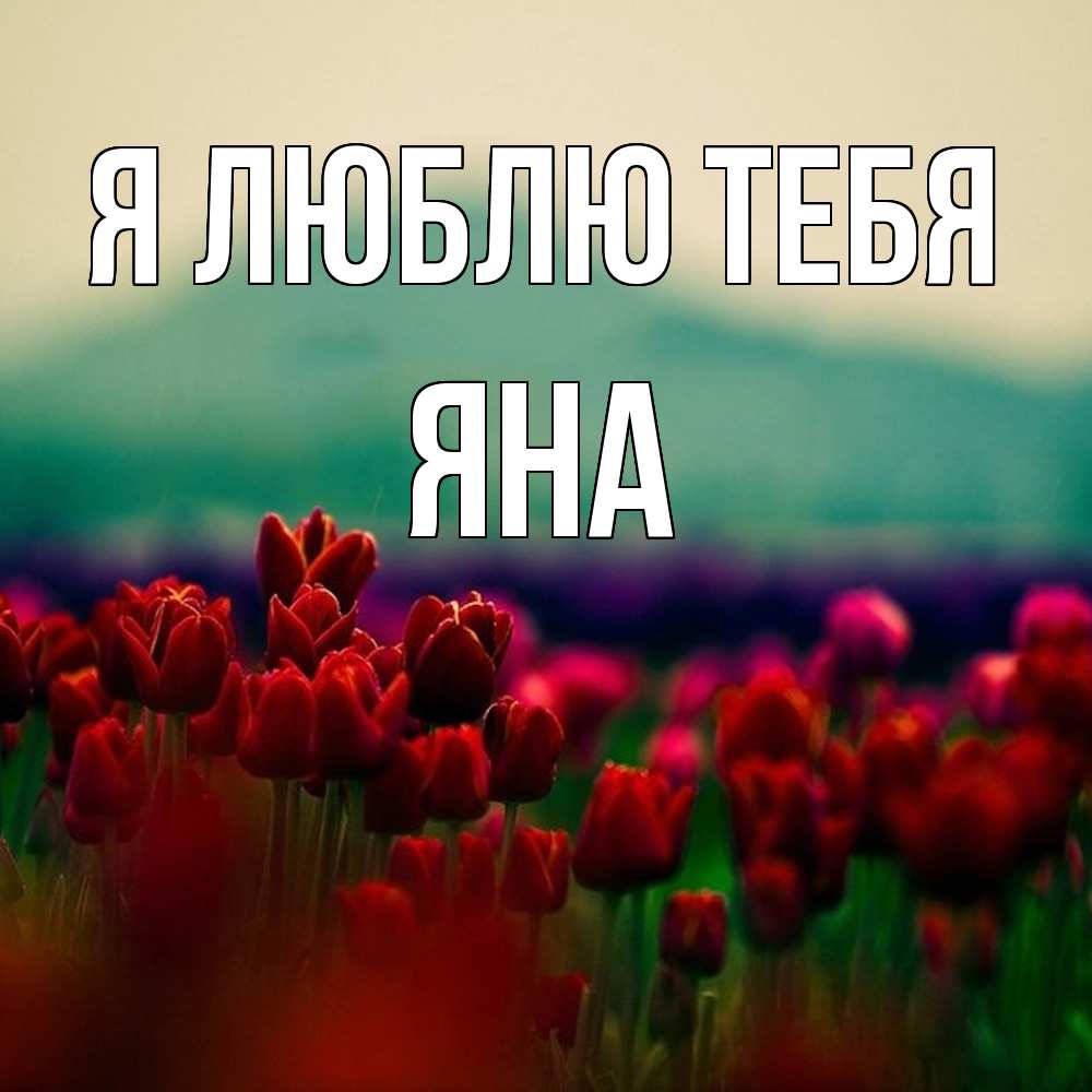 Открытка  с именем. Яна, Я люблю тебя  