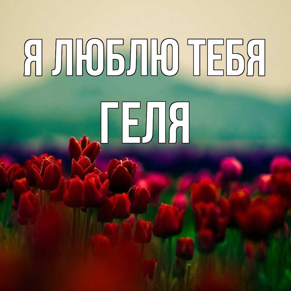 Открытка  с именем. Геля, Я люблю тебя  
