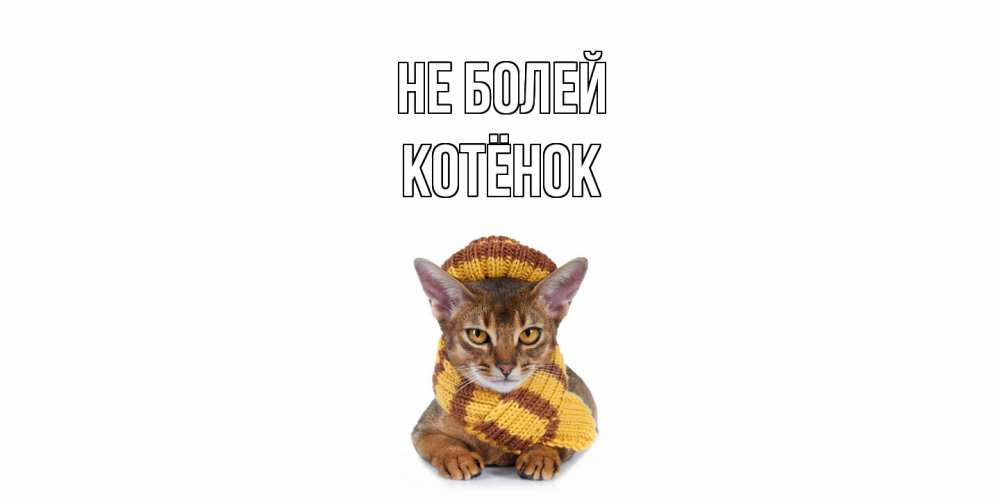 Открытка  с именем. Котёнок, Не болей  