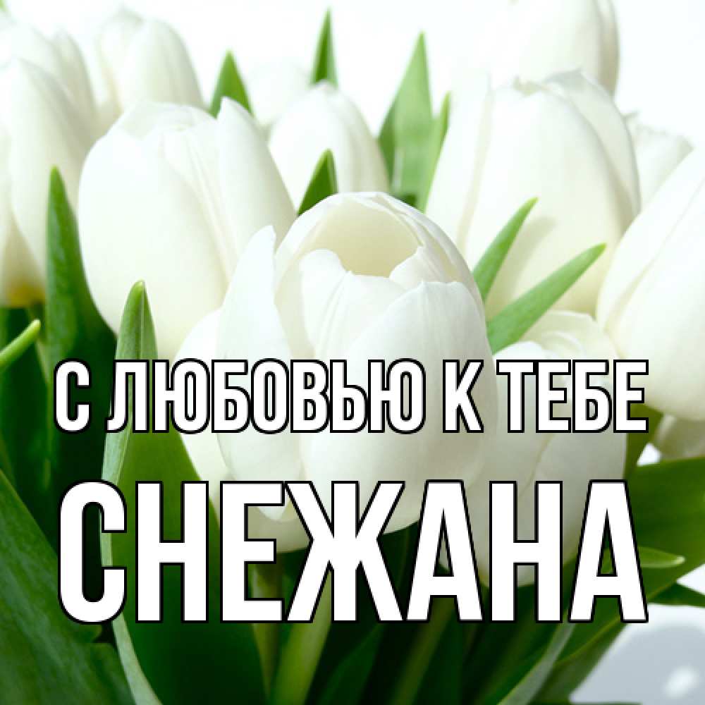 Открытка  с именем. Снежана, С любовью к тебе  