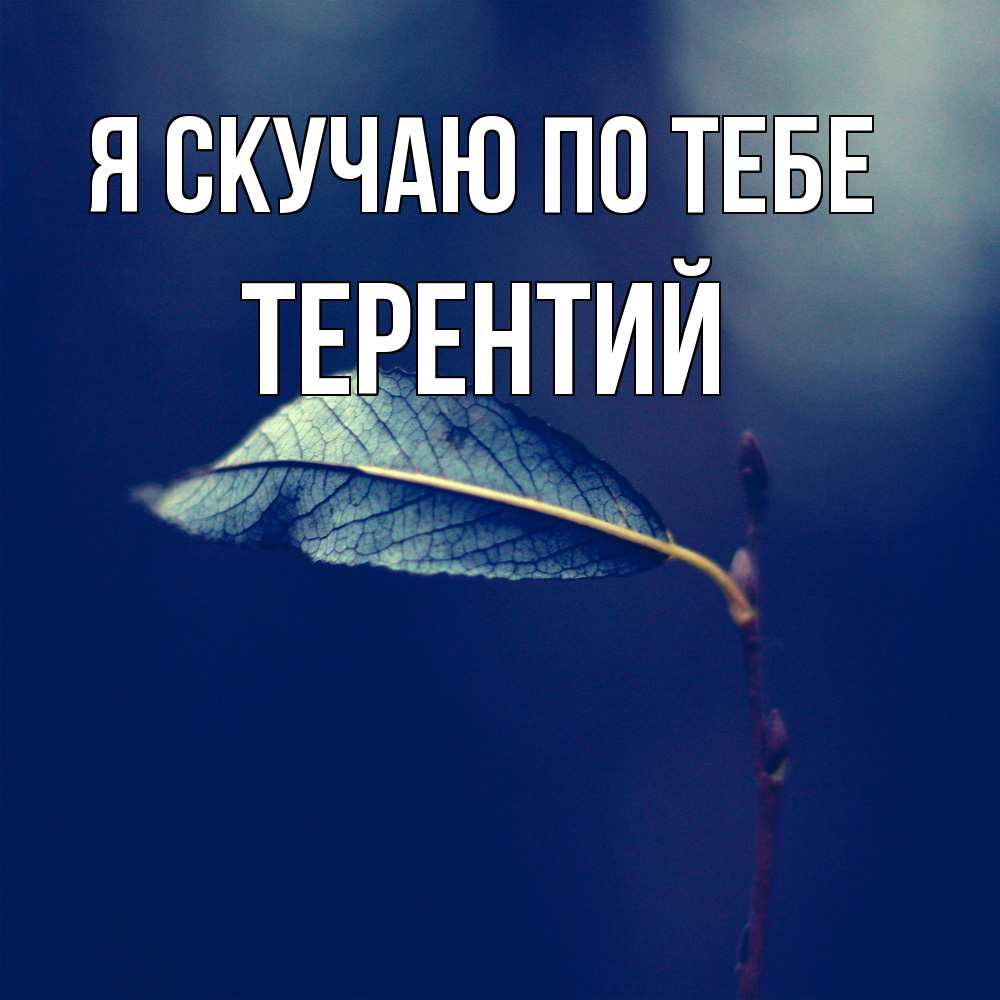 Открытка  с именем. Терентий, Я скучаю по тебе  