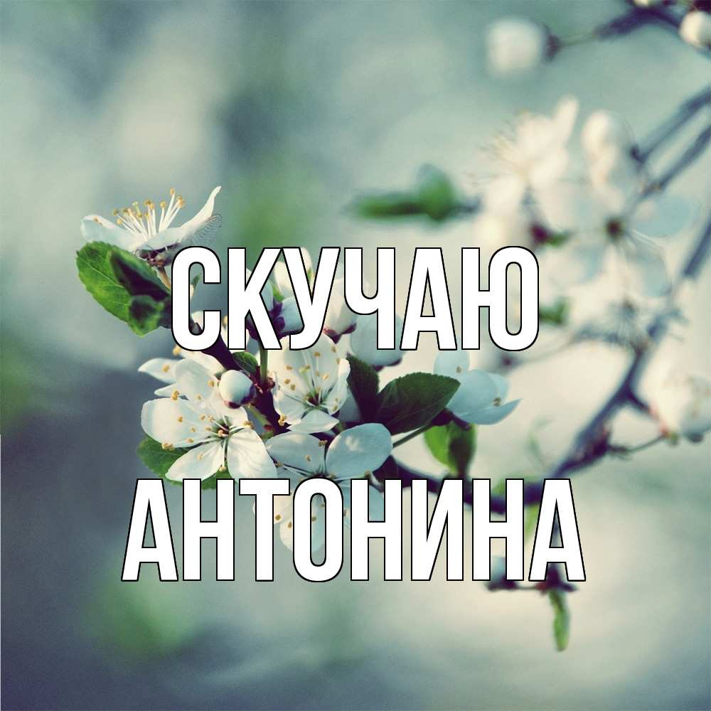 Открытка  с именем. Антонина, Скучаю  