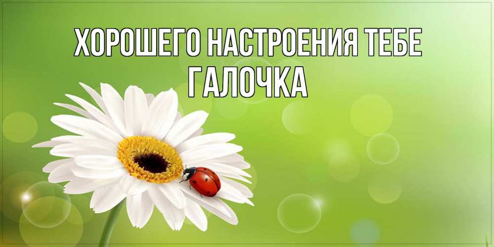 Открытка  с именем. Галочка, Хорошего настроения тебе  