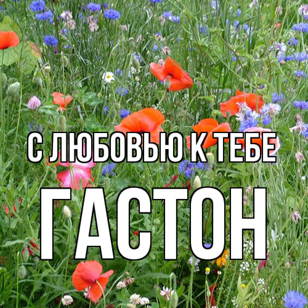Открытка  с именем. Гастон, С любовью к тебе  