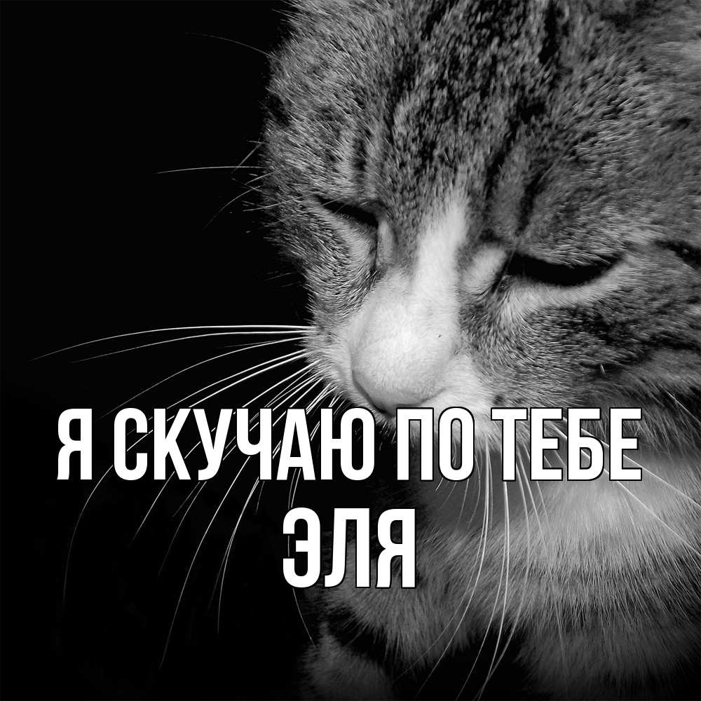 Открытка  с именем. Эля, Я скучаю по тебе  
