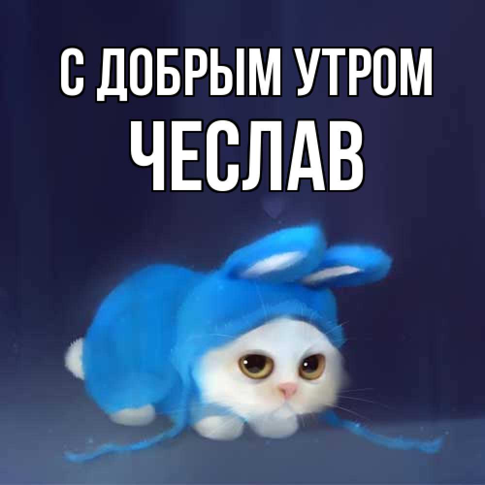 Открытка  с именем. Чеслав, С добрым утром  