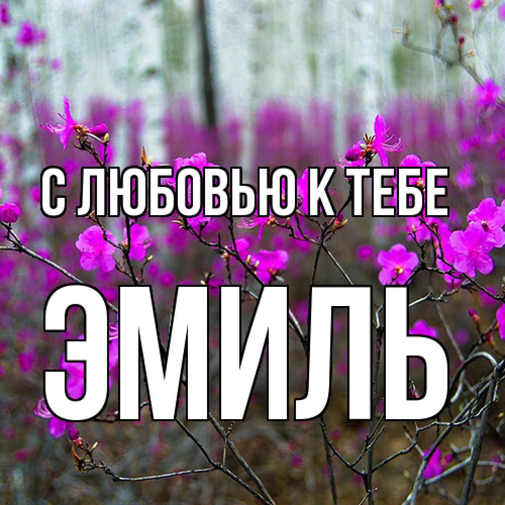 Открытка  с именем. Эмиль, С любовью к тебе  