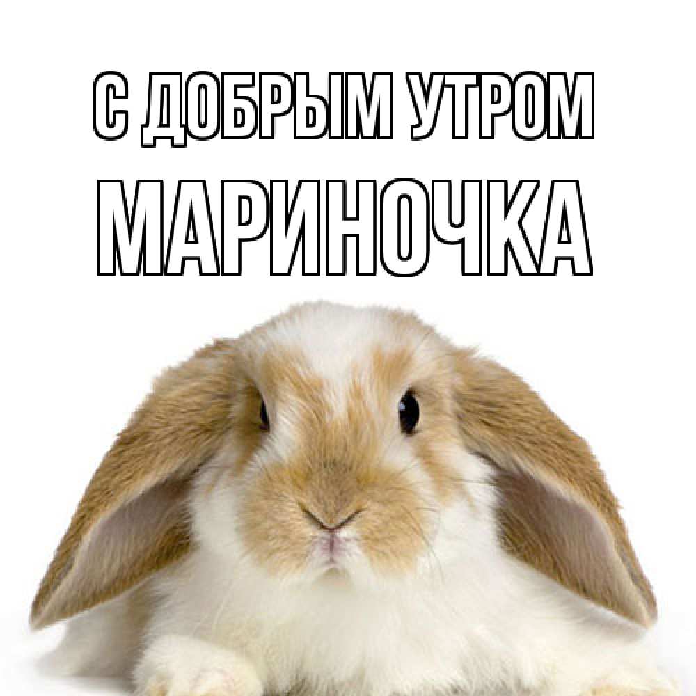Открытка  с именем. Мариночка, С добрым утром  