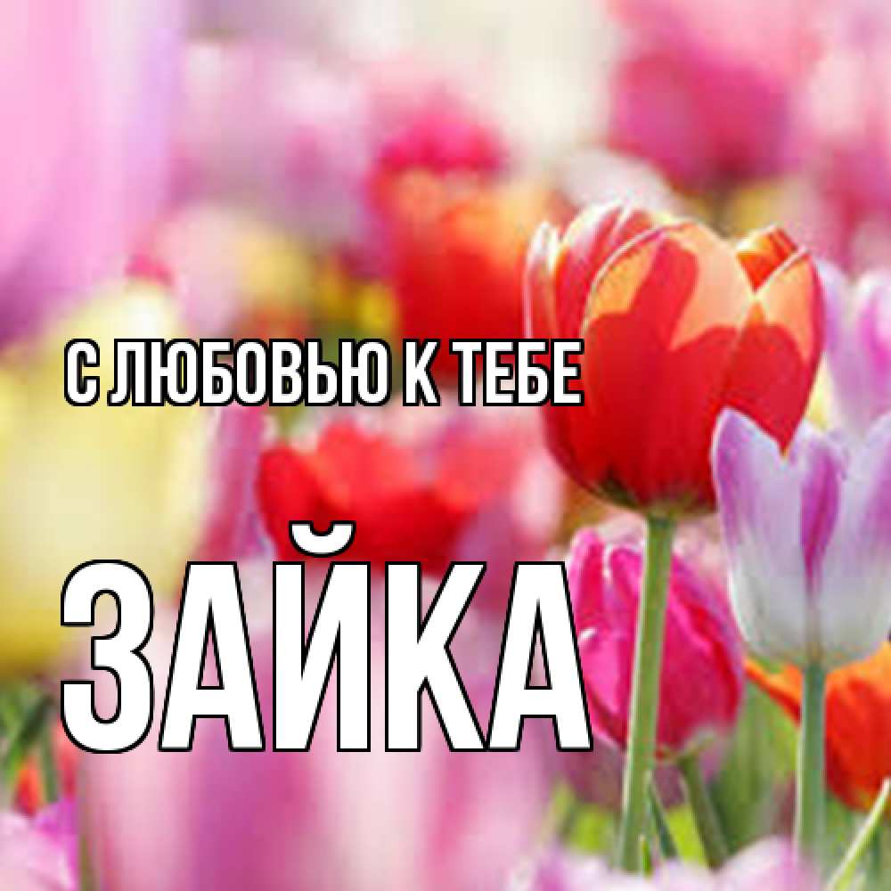 Открытка  с именем. Зайка, С любовью к тебе  