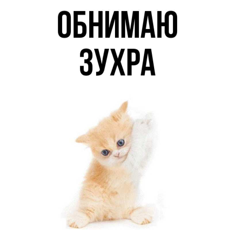 Картинка Обнимаю, Зухра