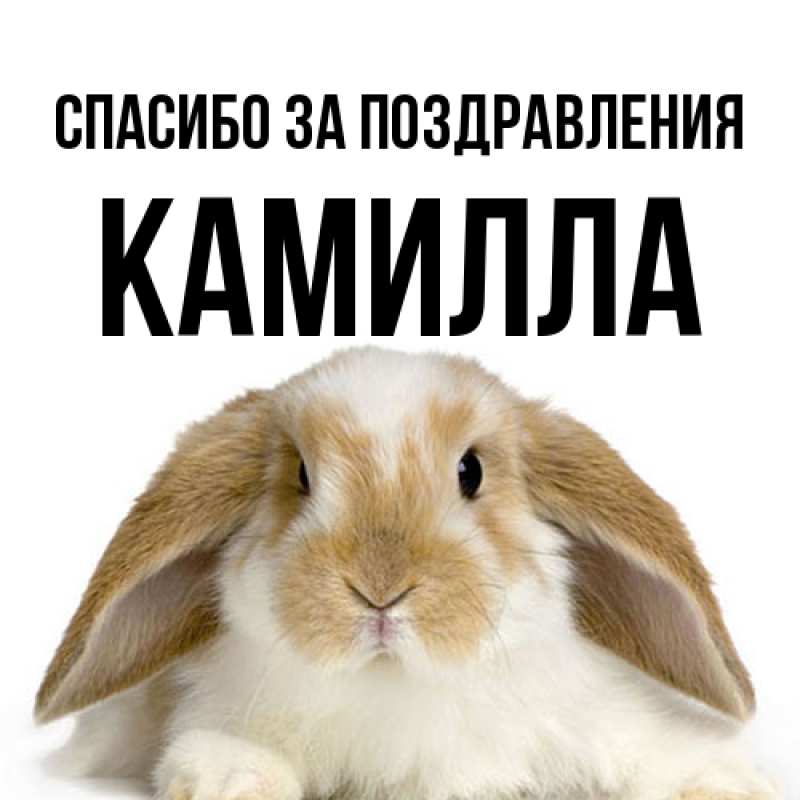Открытка с именем, КАМИЛЛА, Спасибо за поздравления