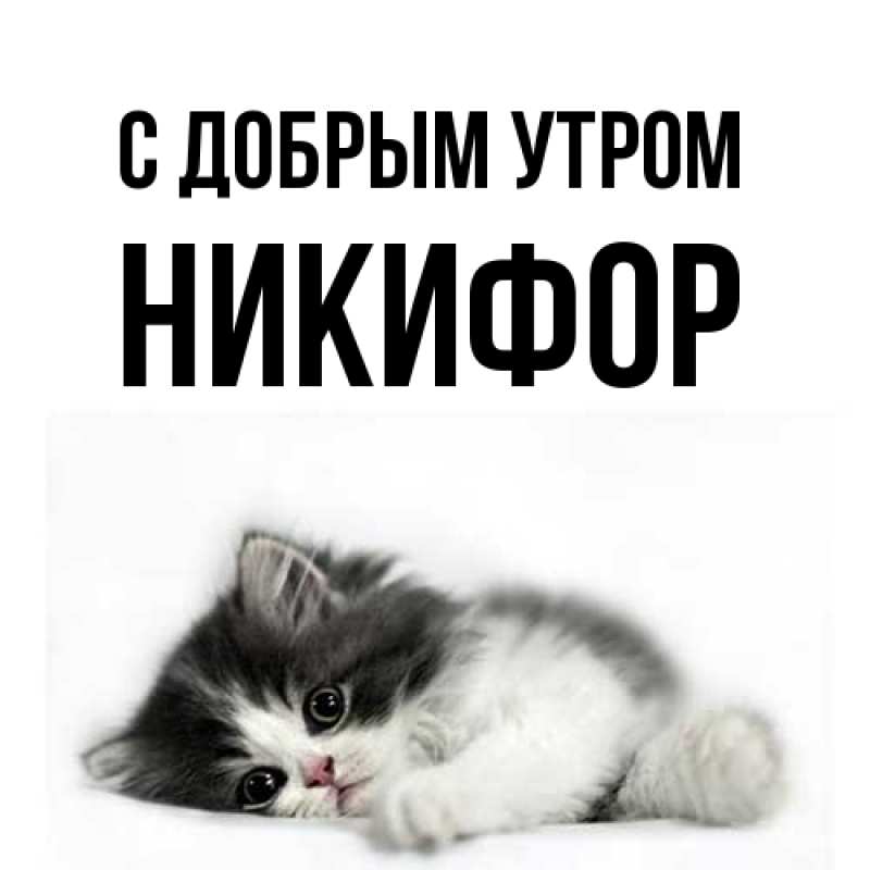 Открытка с именем, Никифор, С добрым утром