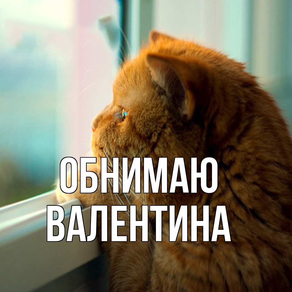 Открытка  с именем. валентина, Обнимаю  
