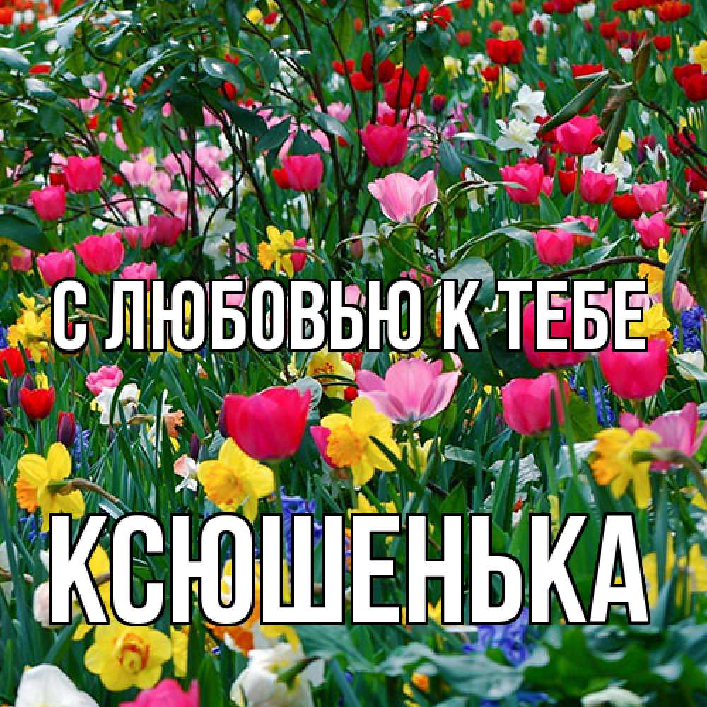 Открытка  с именем. Ксюшенька, С любовью к тебе  