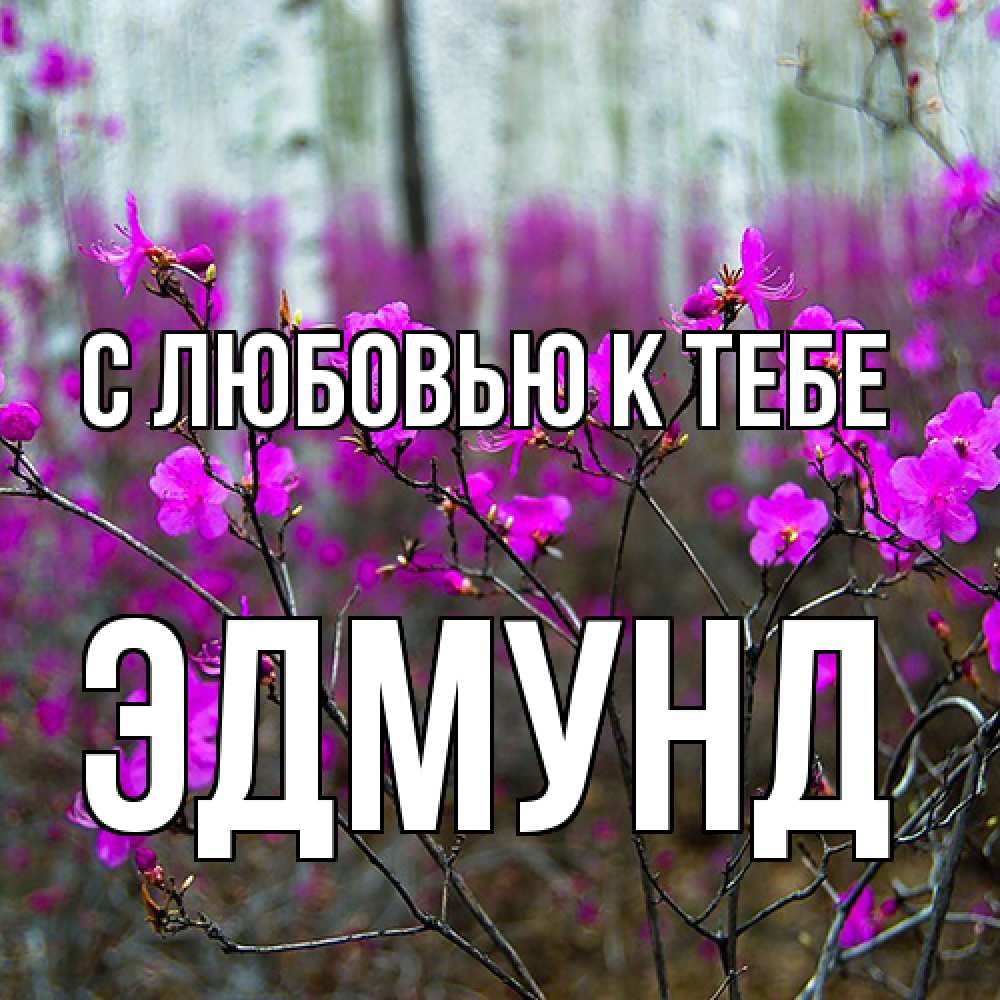 Открытка  с именем. Эдмунд, С любовью к тебе  