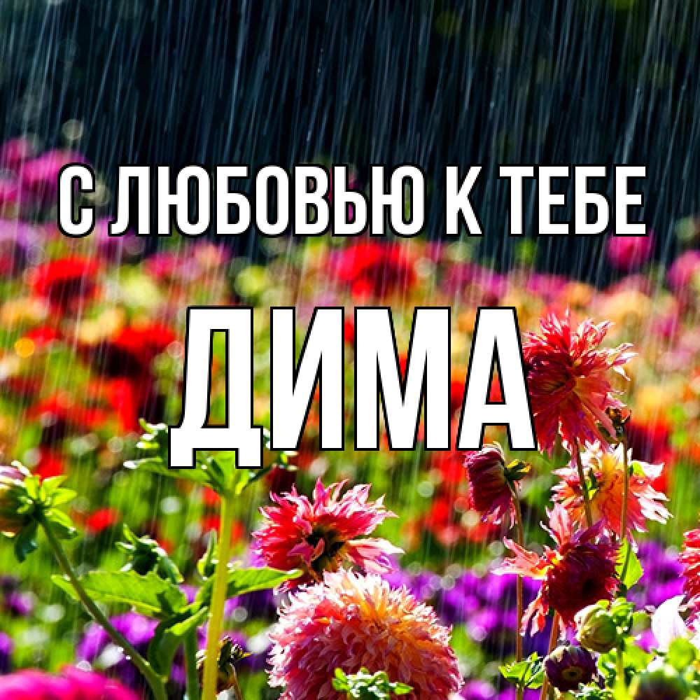 Открытка  с именем. Дима, С любовью к тебе  