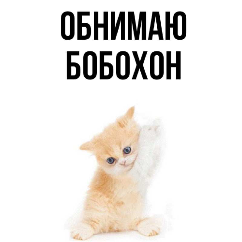 Картинка Обнимаю, Бобохон