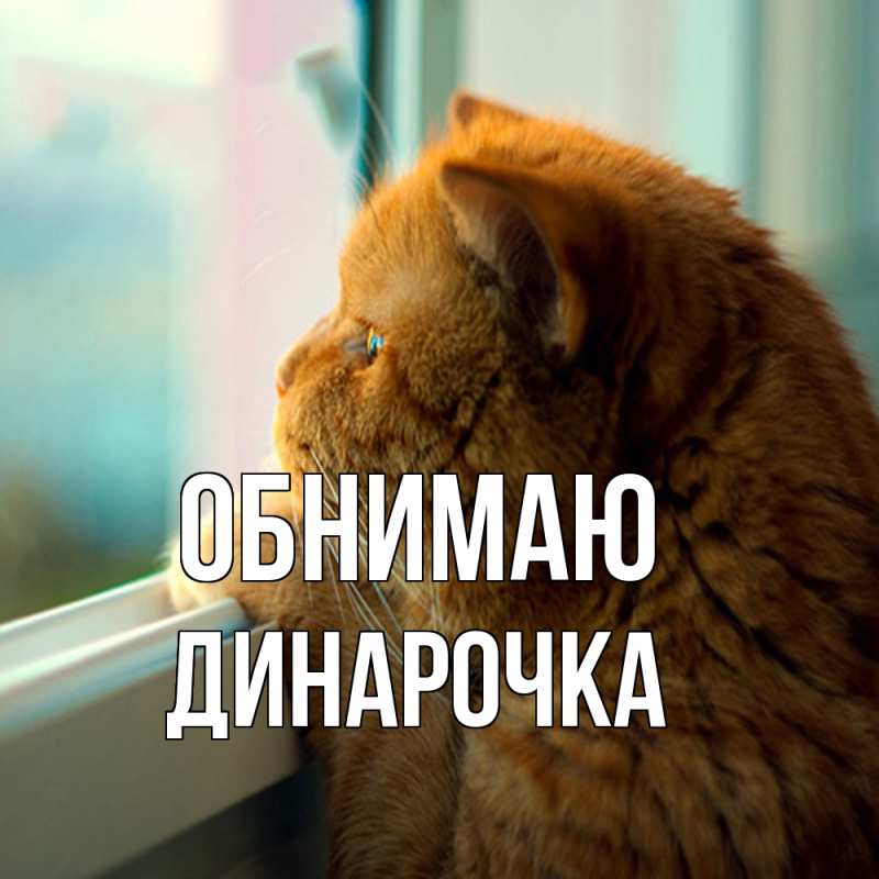 Картинка Обнимаю, Динарочка