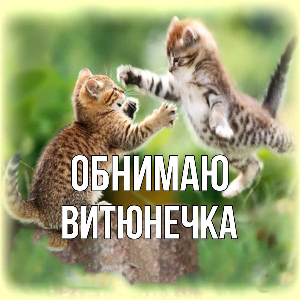 Открытка  с именем. Витюнечка, Обнимаю  