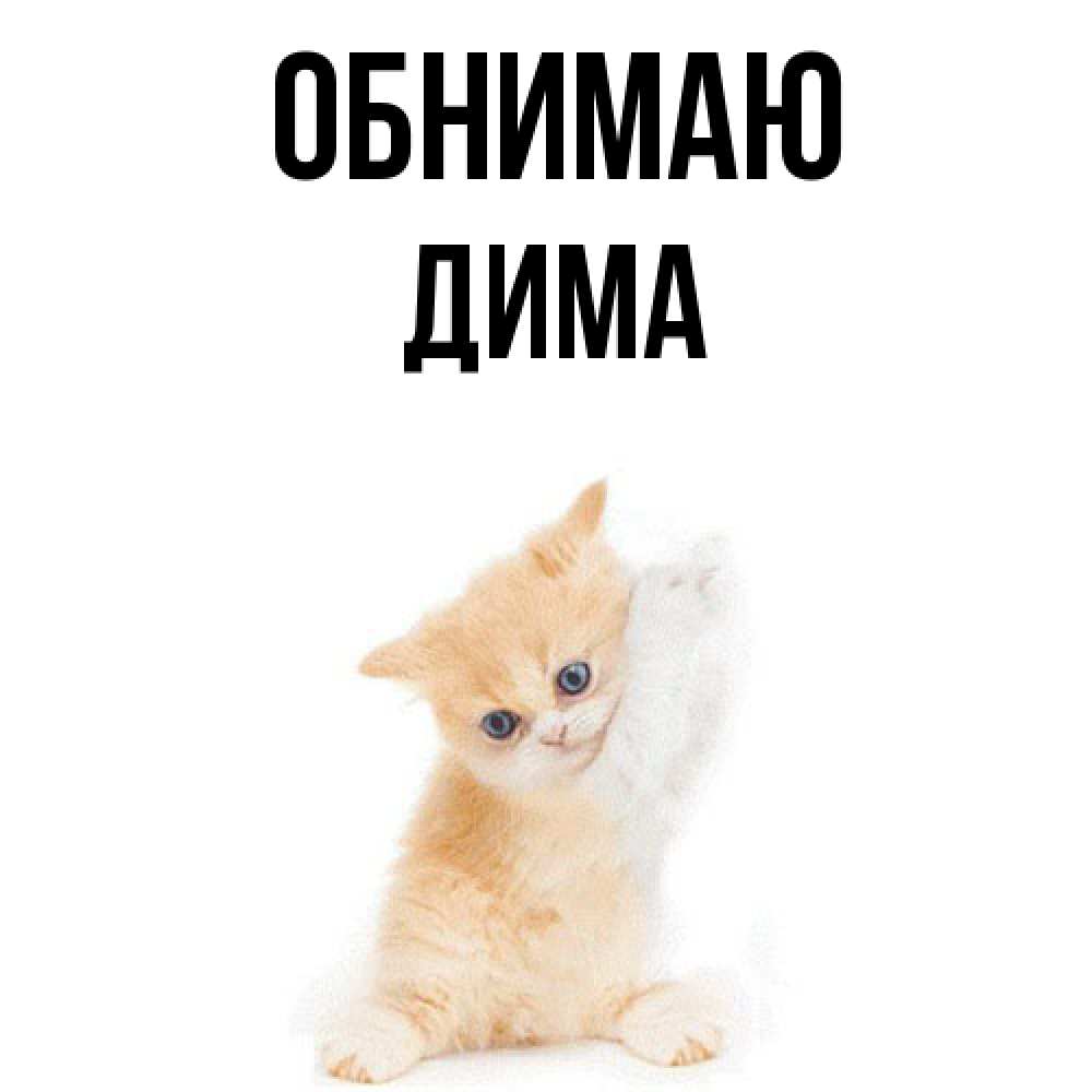 Открытка  с именем. Дима, Обнимаю  