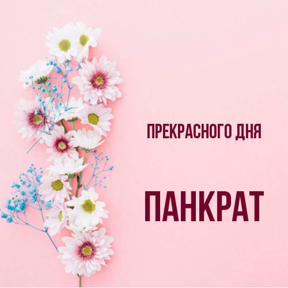 Открытка  с именем. Панкрат, Прекрасного дня  