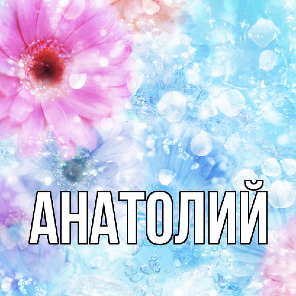 Открытка  с именем. Анатолий, Главная  