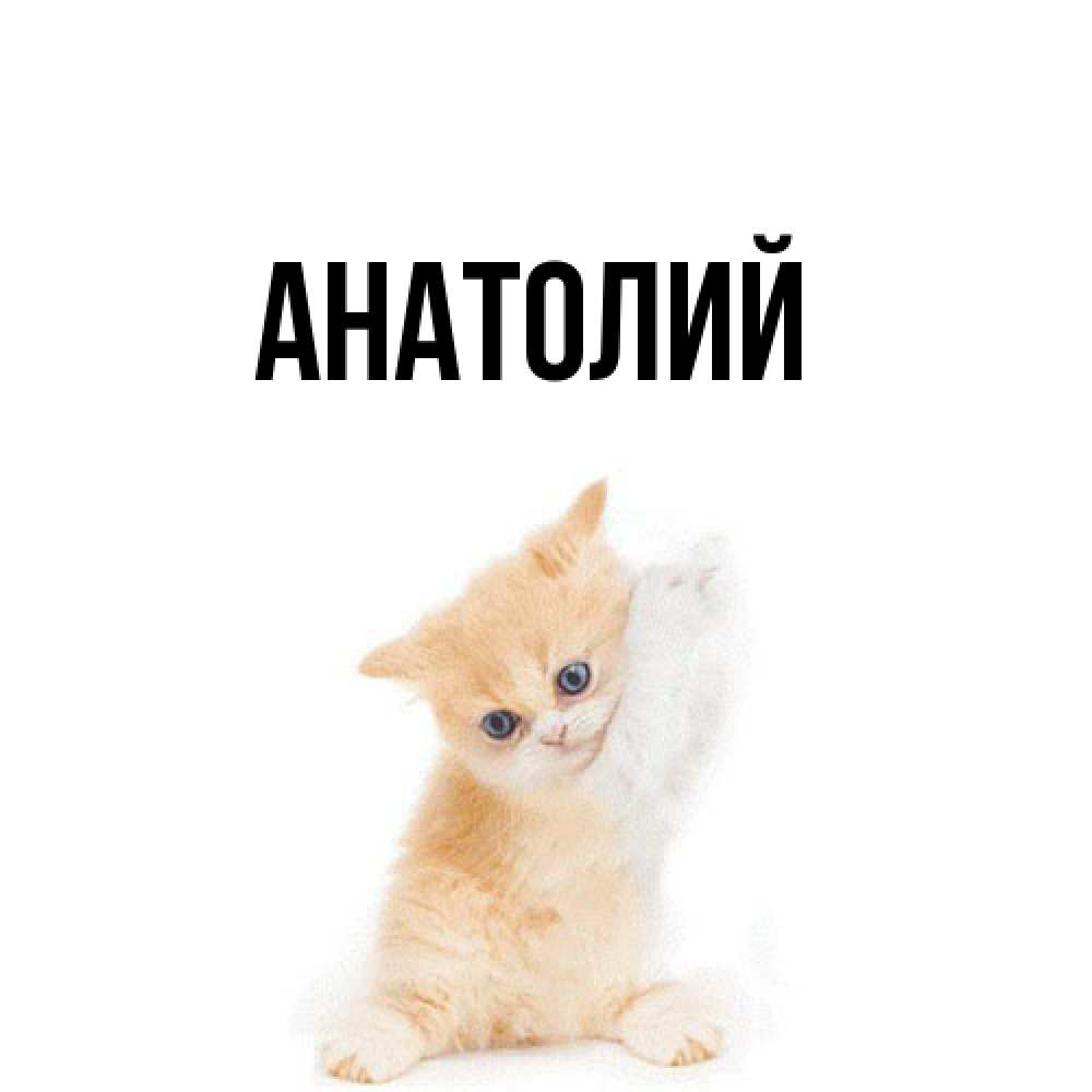 Открытка  с именем. Анатолий, Главная  
